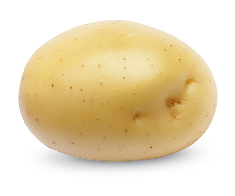 Сорт картофеля Примабелль®